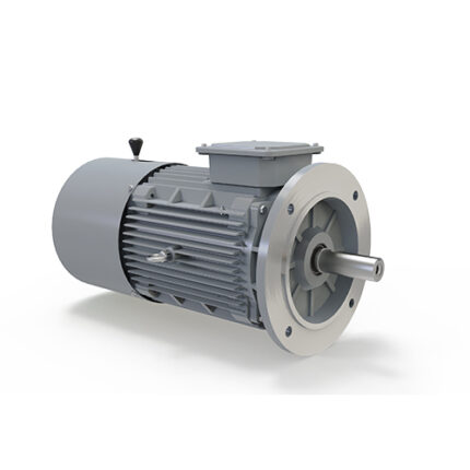 IE2 Motor , 9.3 KW,12.5 HP,  415 V,6 Pole/1000rpm, DOI, FLANGE-B5 Mounted, 160F, 3 Phase, TEFC Cast Iron Induction Motor